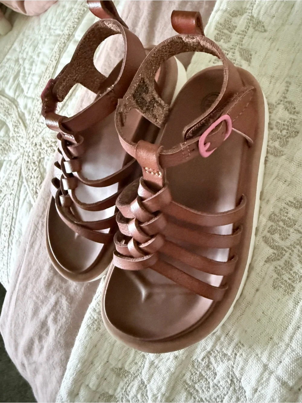 wonder nation cute brown